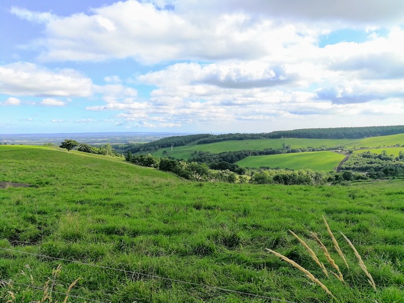 02ナイタイ高原牧場.jpg 02ナイタイ高原牧場
