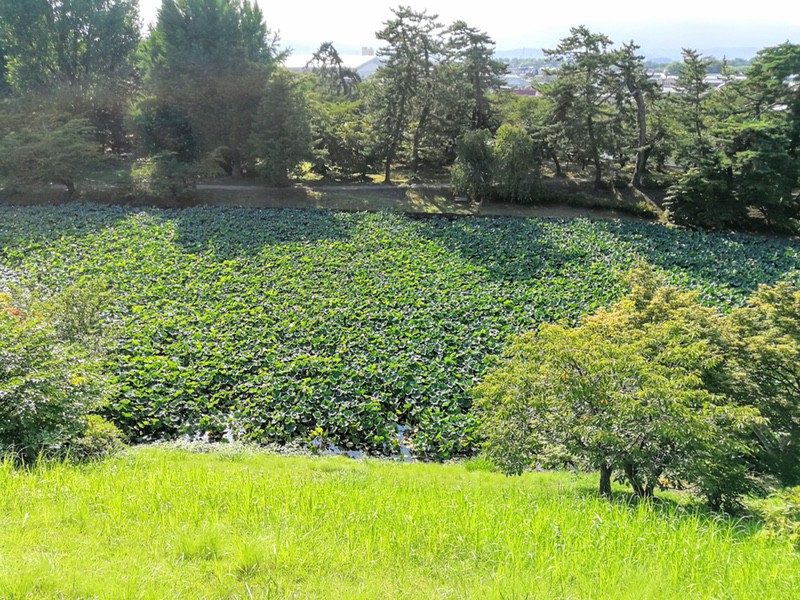 37本丸戌亥櫓跡.jpg 37本丸戌亥櫓跡