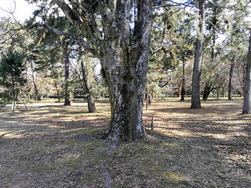 16学習院発祥の地.jpg 16学習院発祥の地