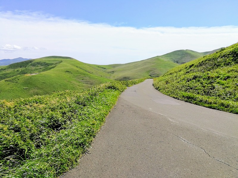 23スコトン岬方面(山道).jpg 23スコトン岬方面 山道