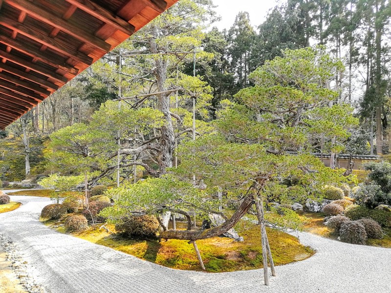 09庭園.jpg 09庭園