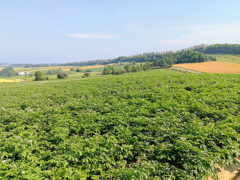 06三愛の丘.jpg 06三愛の丘