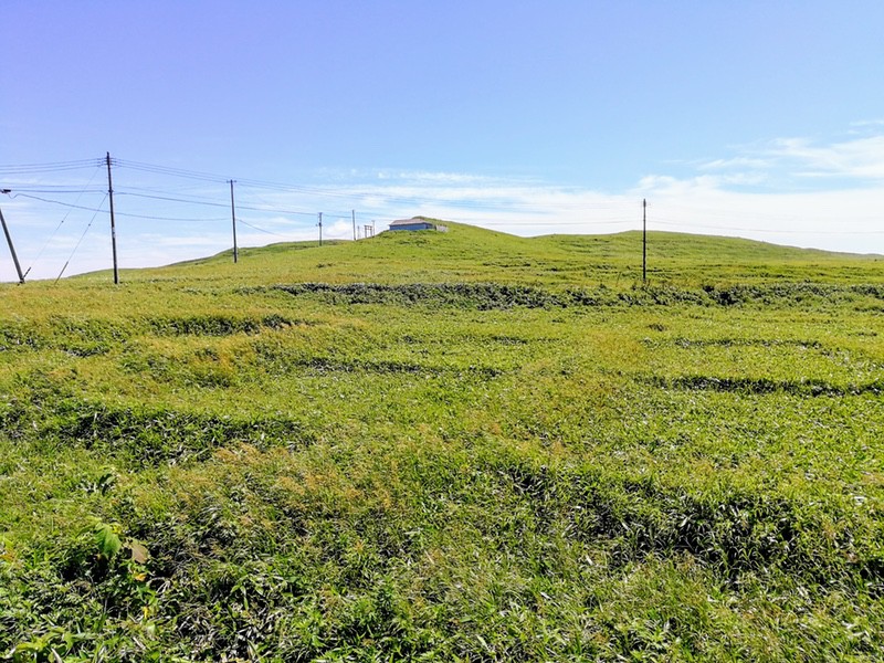 06スコトン岬方面.jpg 06スコトン岬方面