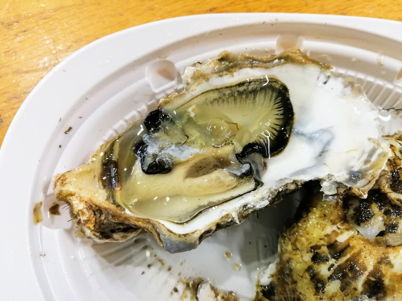 15牡蠣.jpg 15牡蠣