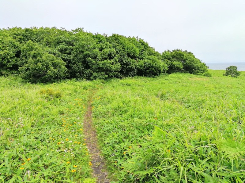 01入口.jpg 01入口