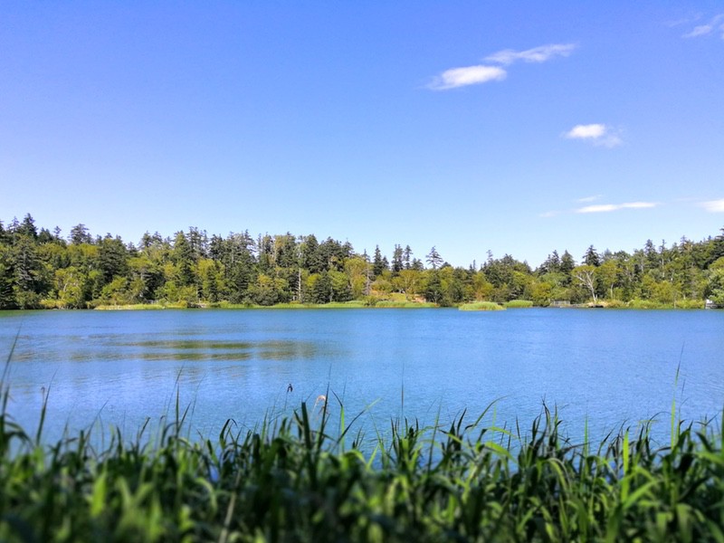 06姫沼.jpg 06姫沼