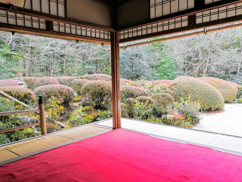 08部屋から庭.jpg 08部屋から庭