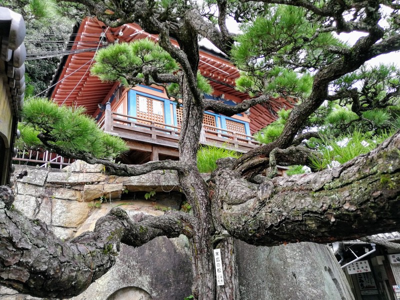 28千光寺護摩堂.jpg 28千光寺護摩堂