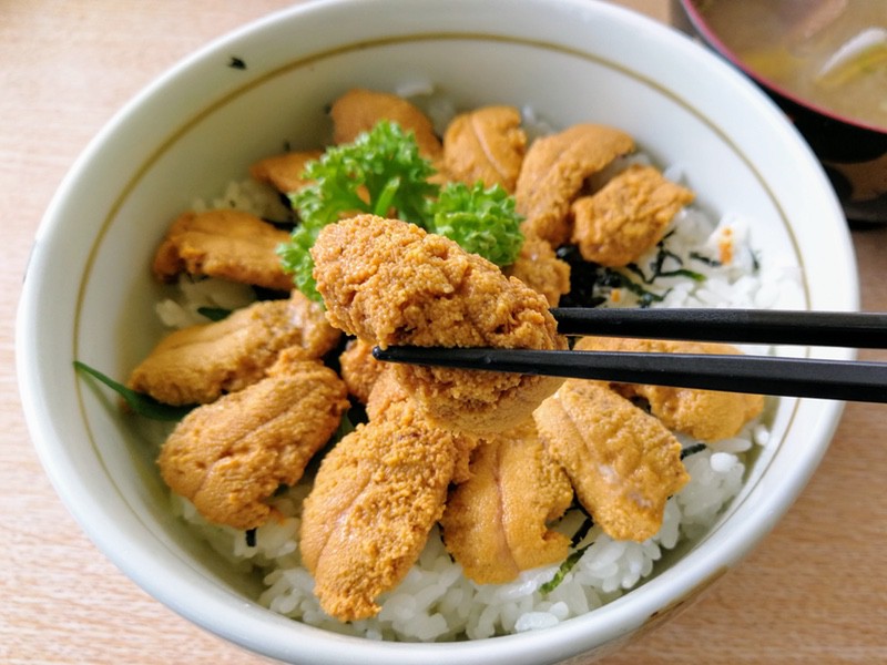 16ウニ丼