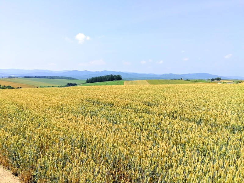 04その周辺.jpg 04その周辺