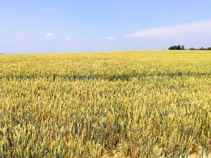 03その周辺.jpg 03その周辺