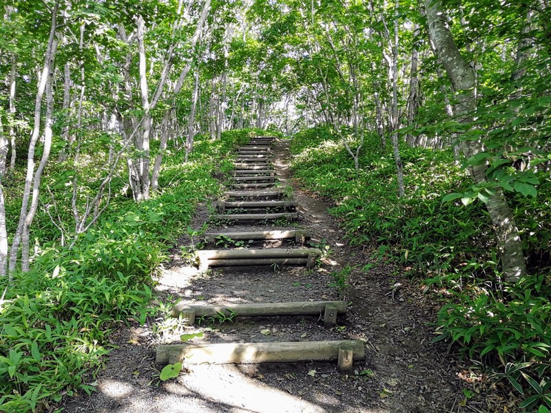 04歩道.jpg 04歩道