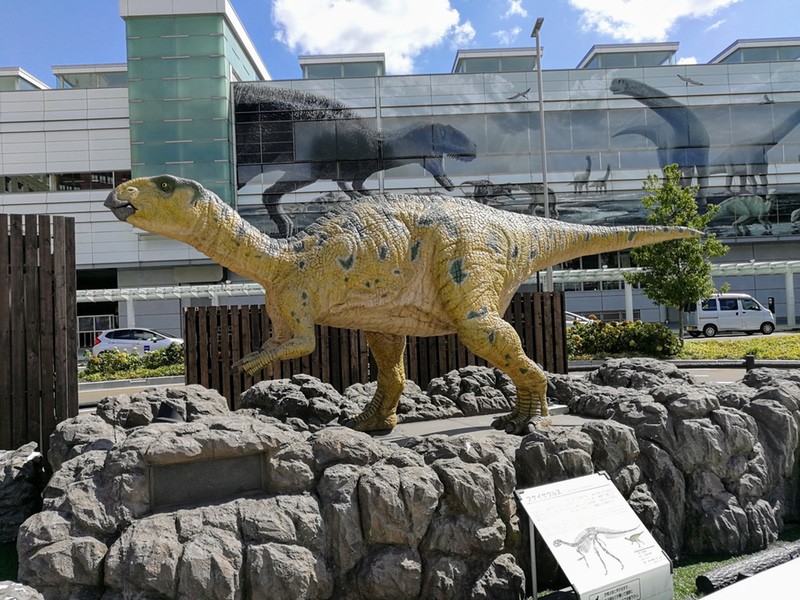 16フクイサウルス.jpg 16フクイサウルス