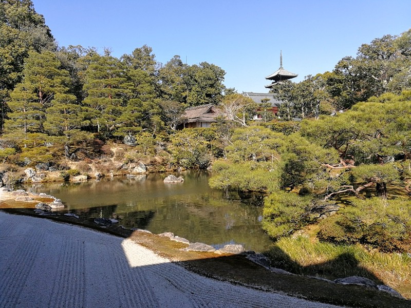 37宸殿より北庭.jpg 37宸殿より北庭