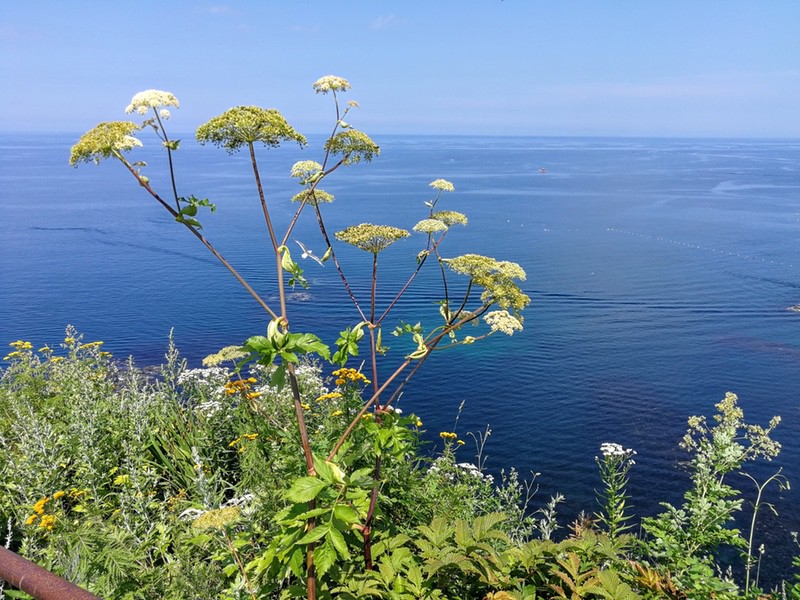 13岩の上.jpg 13岩の上