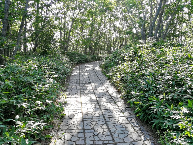 10歩道.jpg 10歩道