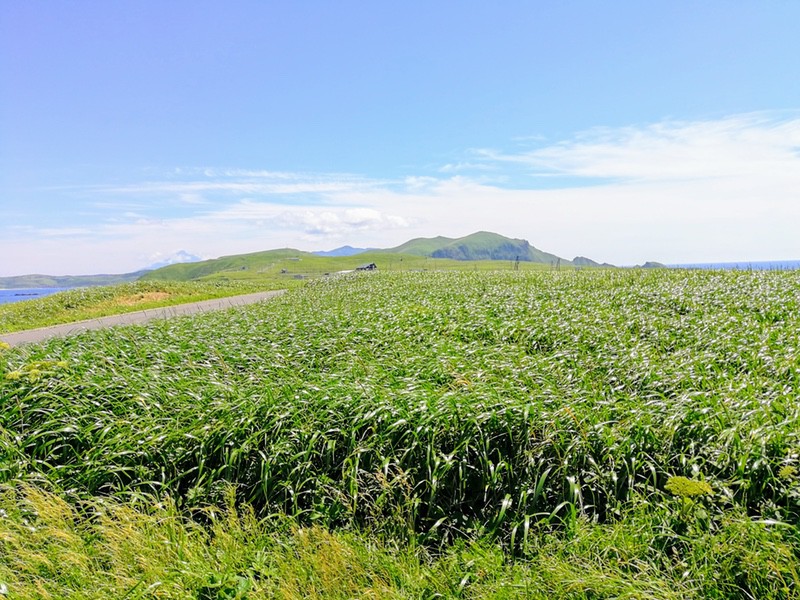 11スコトン岬方面.jpg 11スコトン岬方面