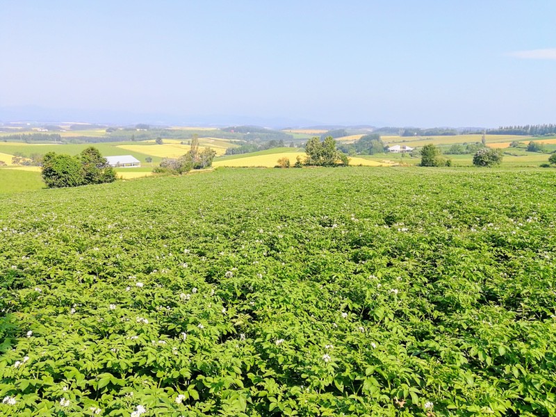 04三愛の丘.jpg 04三愛の丘