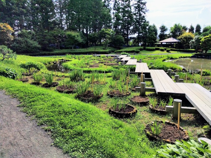14低地部庭園 池泉回遊式