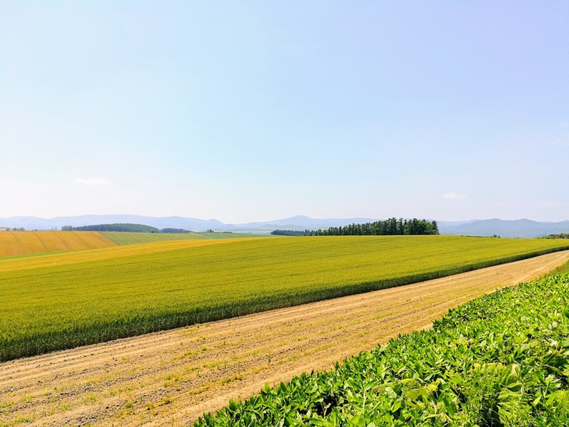 07その周辺.jpg 07その周辺