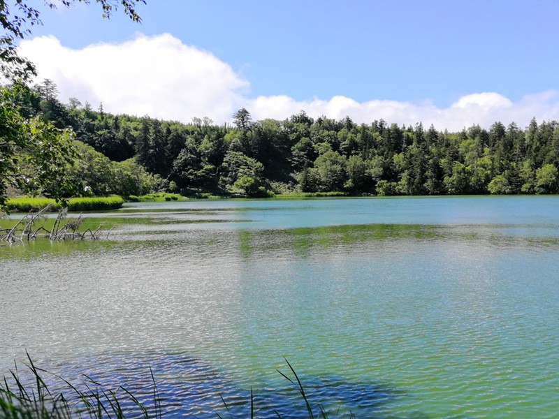 03姫沼.jpg 03姫沼