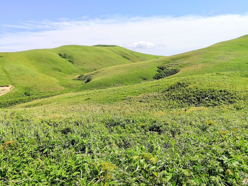 27スコトン岬方面(山道).jpg 27スコトン岬方面 山道