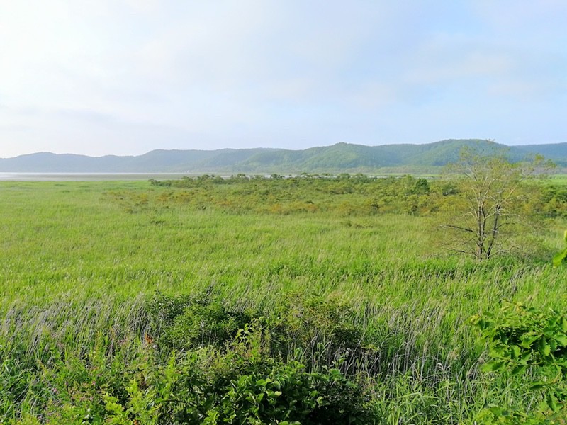 18達古武沼.jpg 18達古武沼