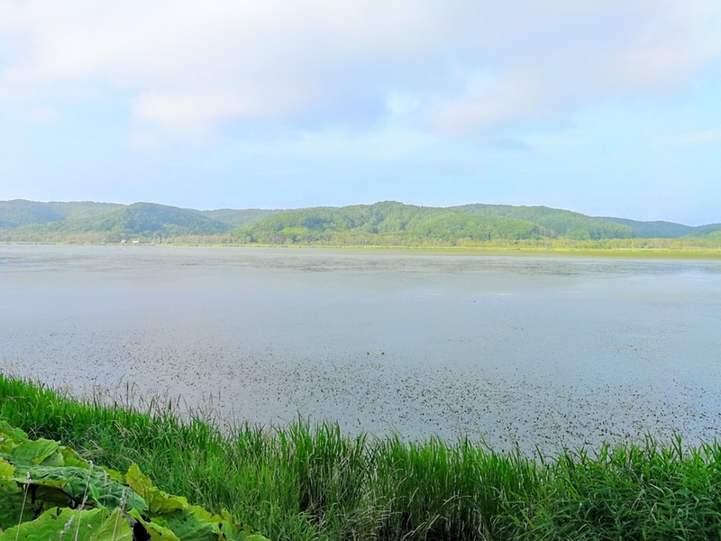 17達古武沼.jpg 17達古武沼