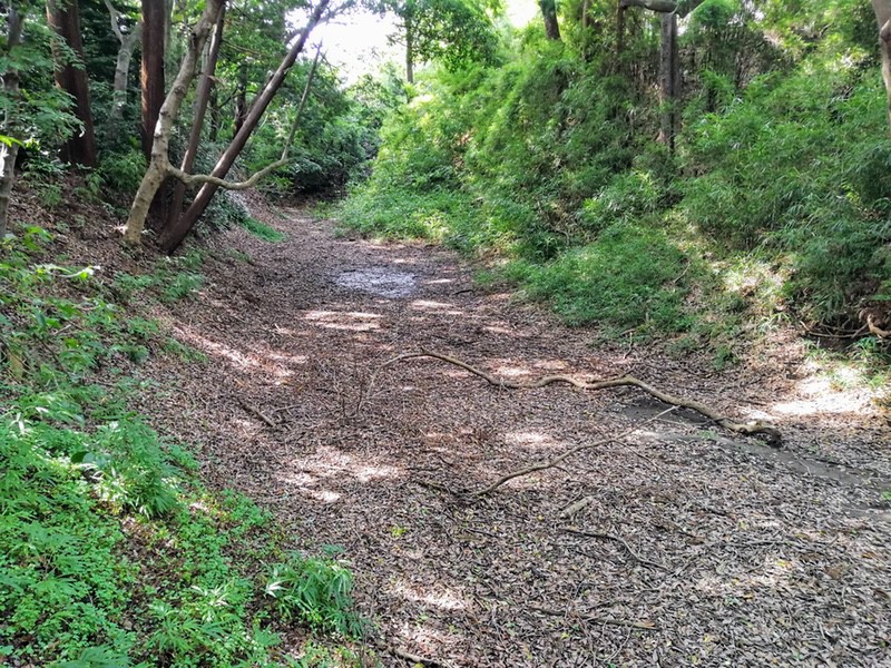 21小峯曲輪北堀