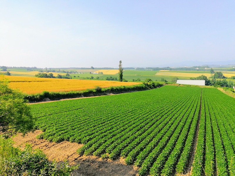 02三愛の丘.jpg 02三愛の丘