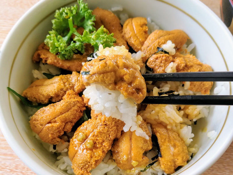 19ウニ丼