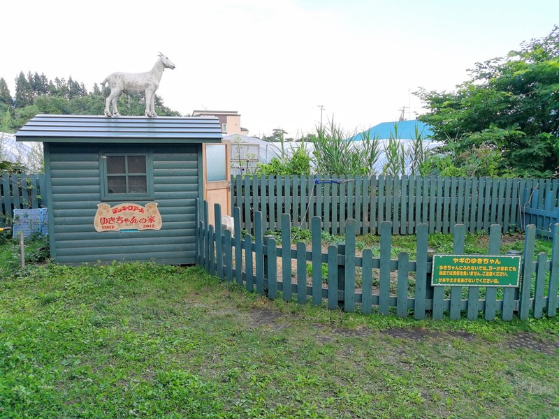 40ゆきちゃんの家.jpg 40ゆきちゃんの家