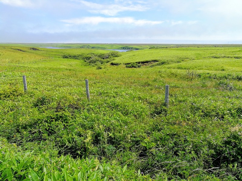 02納沙布岬まで.jpg 02納沙布岬まで