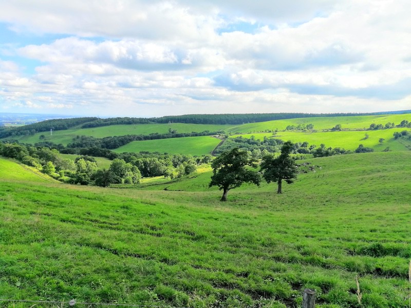 04ナイタイ高原牧場.jpg 04ナイタイ高原牧場