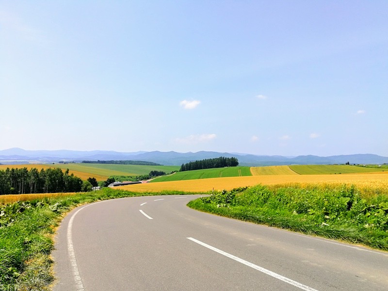 06その周辺.jpg 06その周辺