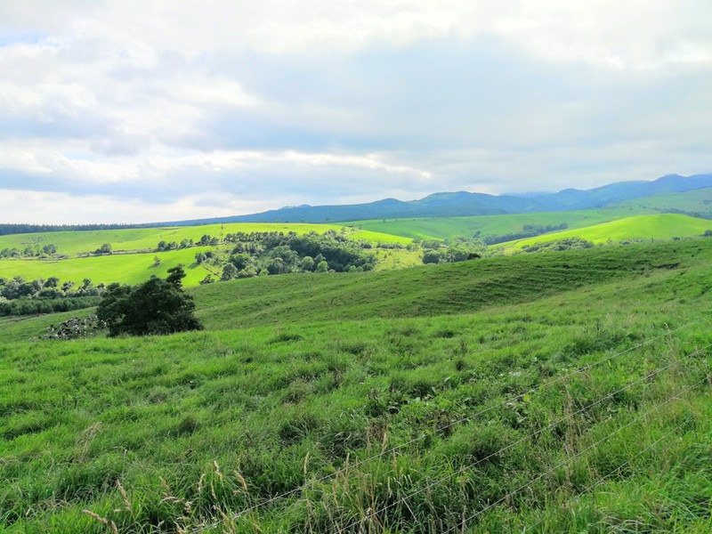 03ナイタイ高原牧場.jpg 03ナイタイ高原牧場