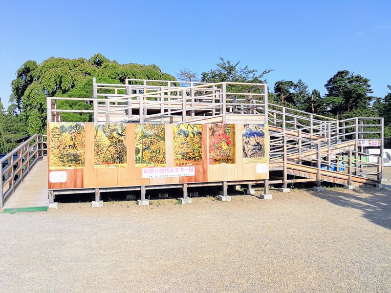 54展望台.jpg 54展望台