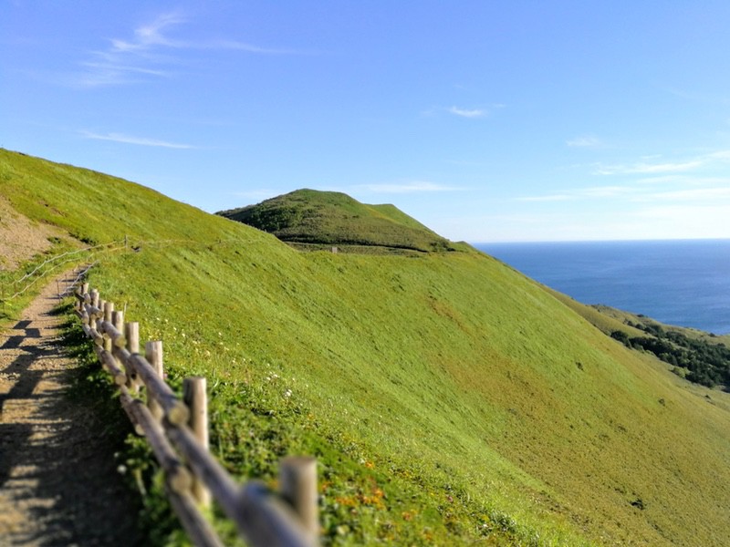 45礼文林道.jpg 45礼文林道