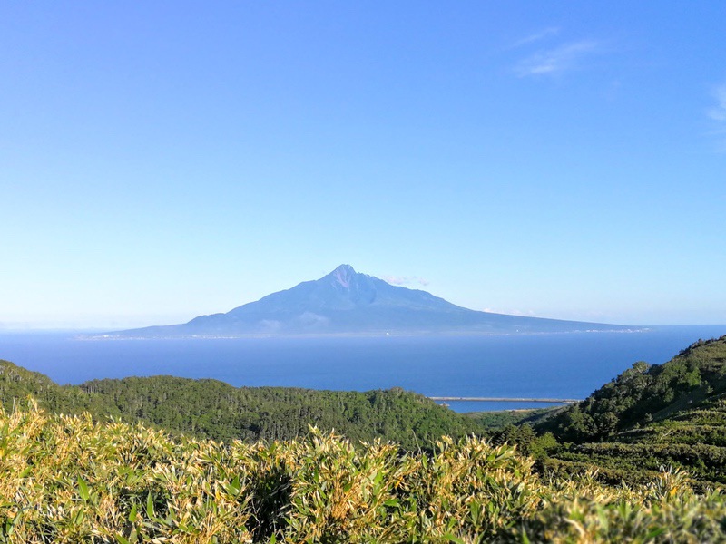 47礼文林道.jpg 47礼文林道