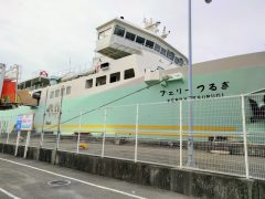 南海フェリーつるぎで徳島から和歌山へ