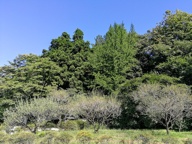 01外観
