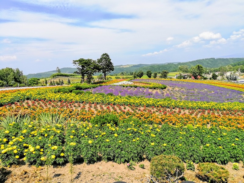 03ぜぶるの丘.jpg 03ぜぶるの丘