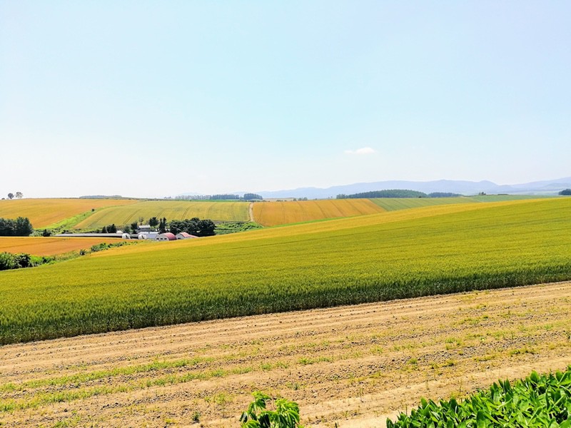 08その周辺.jpg 08その周辺