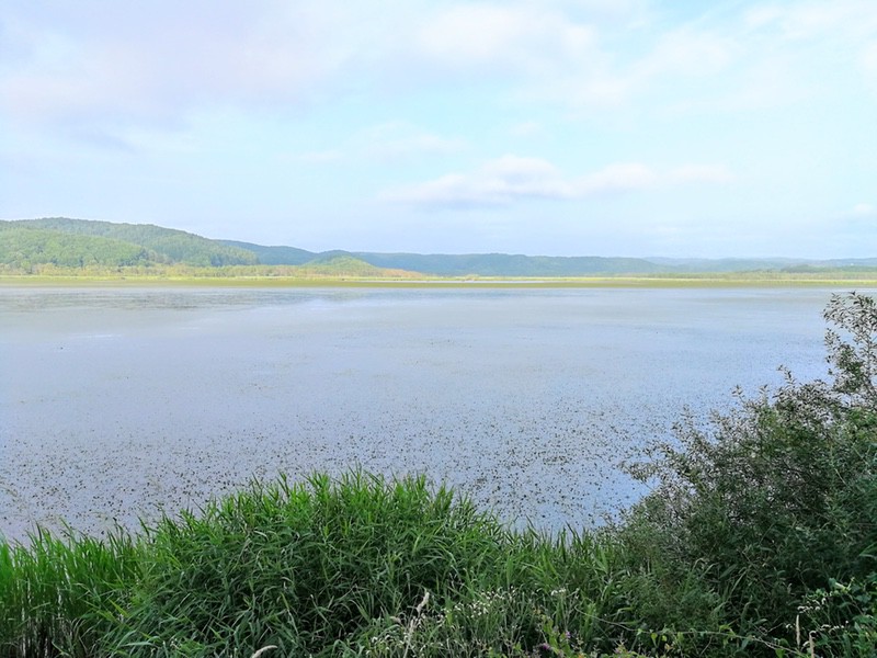 16達古武沼.jpg 16達古武沼