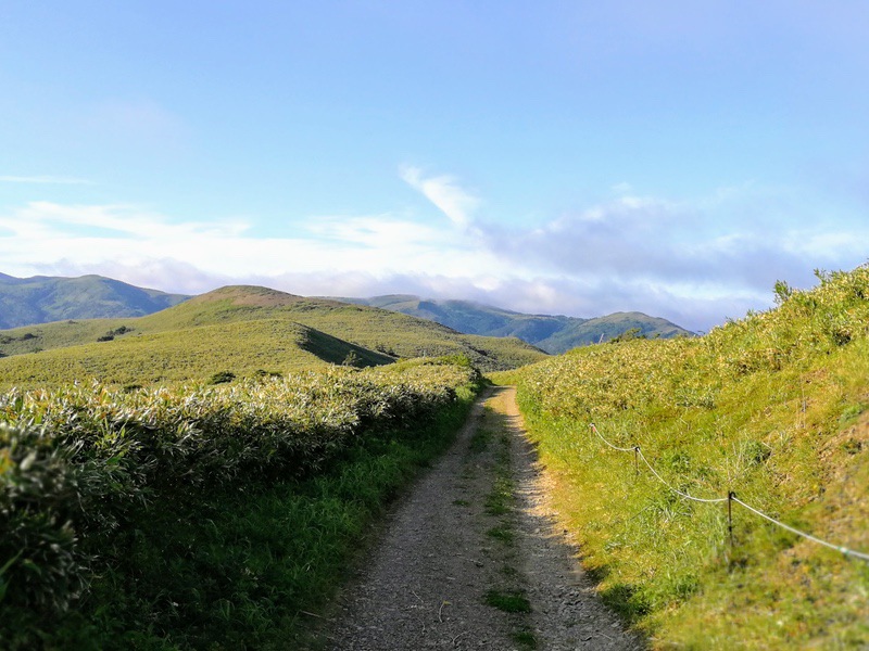 43礼文林道.jpg 43礼文林道