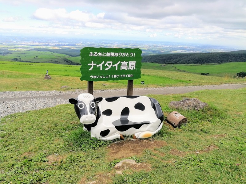 14ナイタイ高原牧場.jpg 14ナイタイ高原牧場