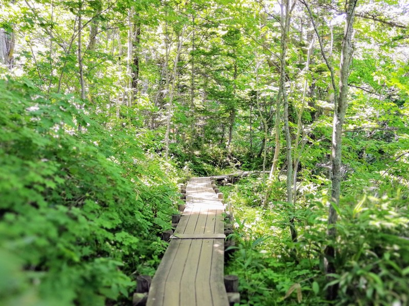 04姫沼.jpg 04姫沼