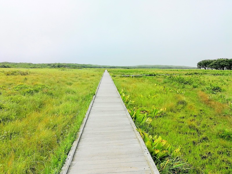 08北方原生花園.jpg 08北方原生花園