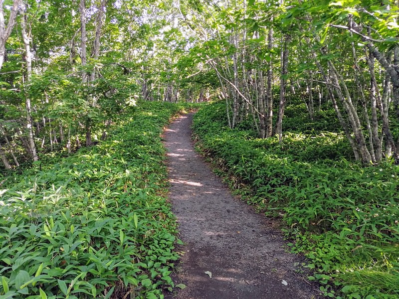 08歩道.jpg 08歩道