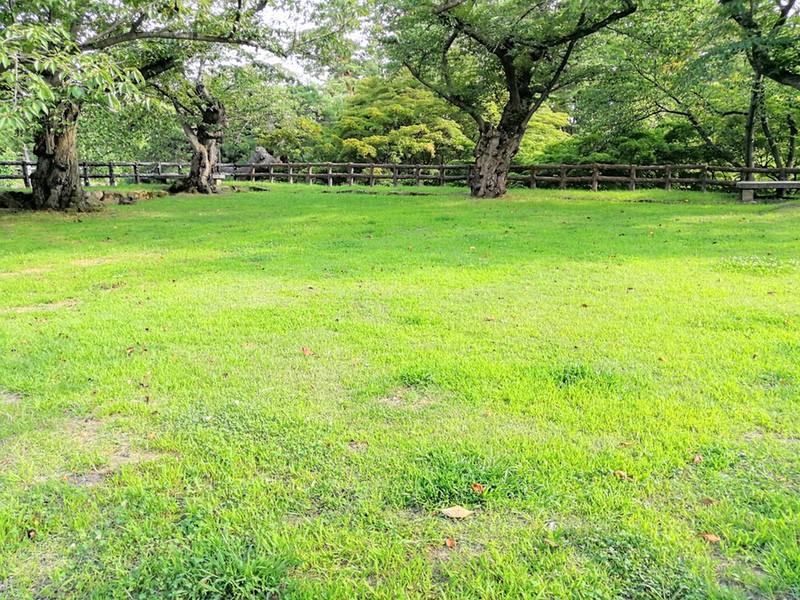 41御日記蔵跡.jpg 41御日記蔵跡